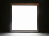 WW-PL-3030-12W